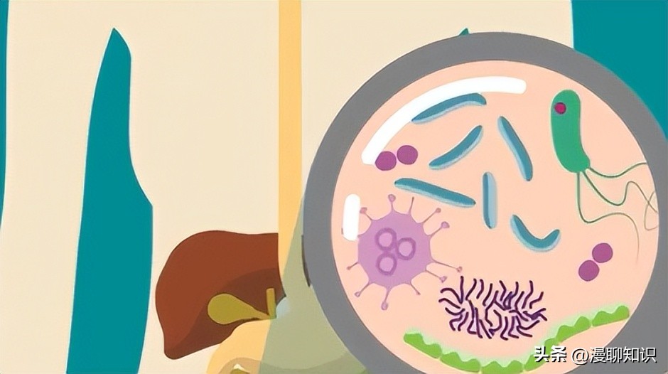 益生菌与致病菌的竞争结合位点有哪些？如何抑制它的生长？