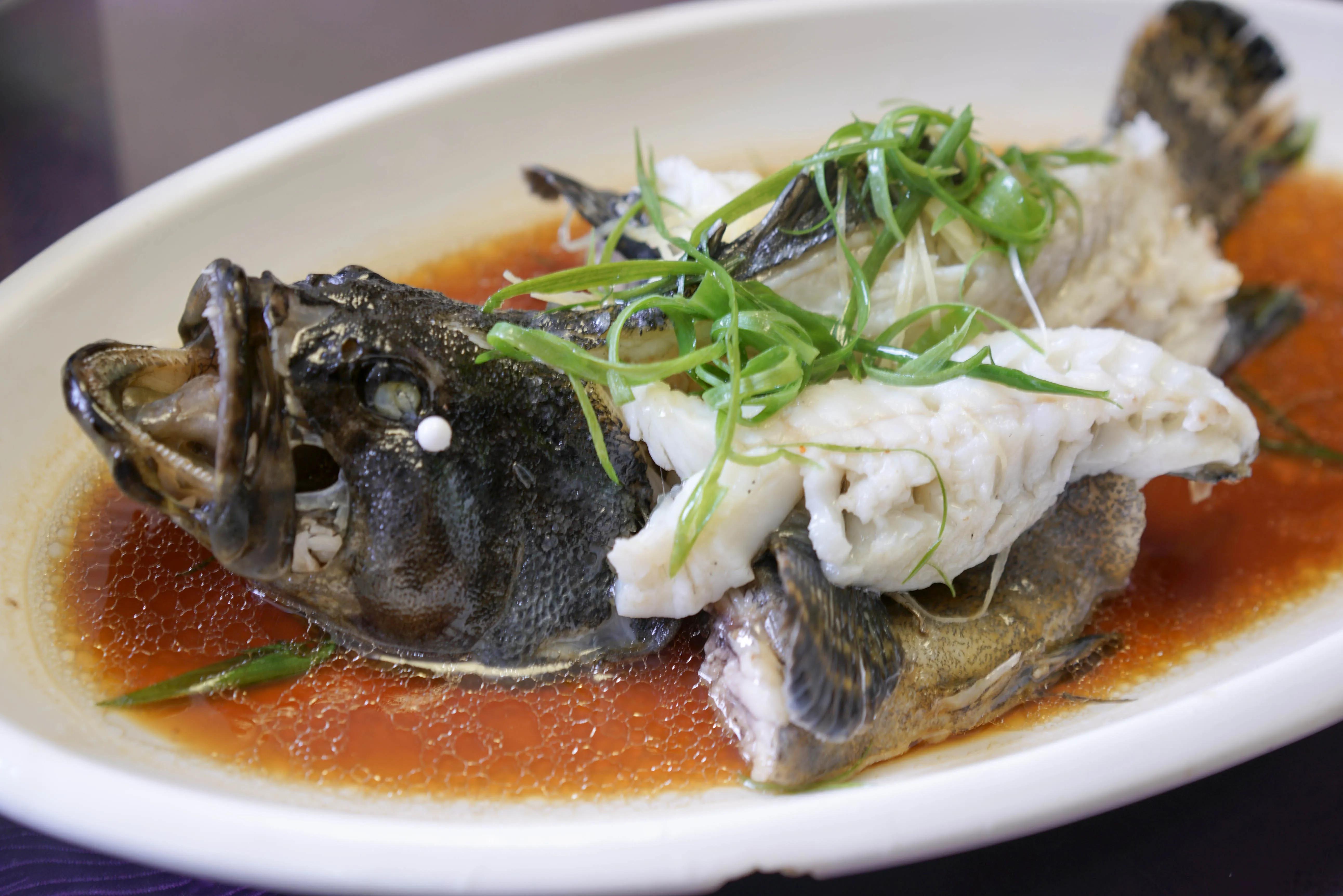 10种海鱼便宜营养价值高,30种最常吃的海鱼图片大全