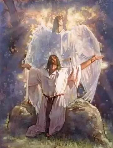 带你一分钟了解波兰,波兰的真实深度解析