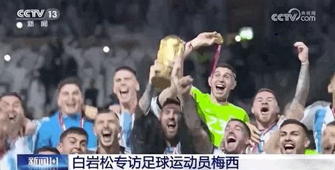 姊呰タ鍙戞枃鎷ユ姳浠栫殑鐞冭糠澶栫綉,姊呰タ鍙戞枃璧勫姪鐞冭糠