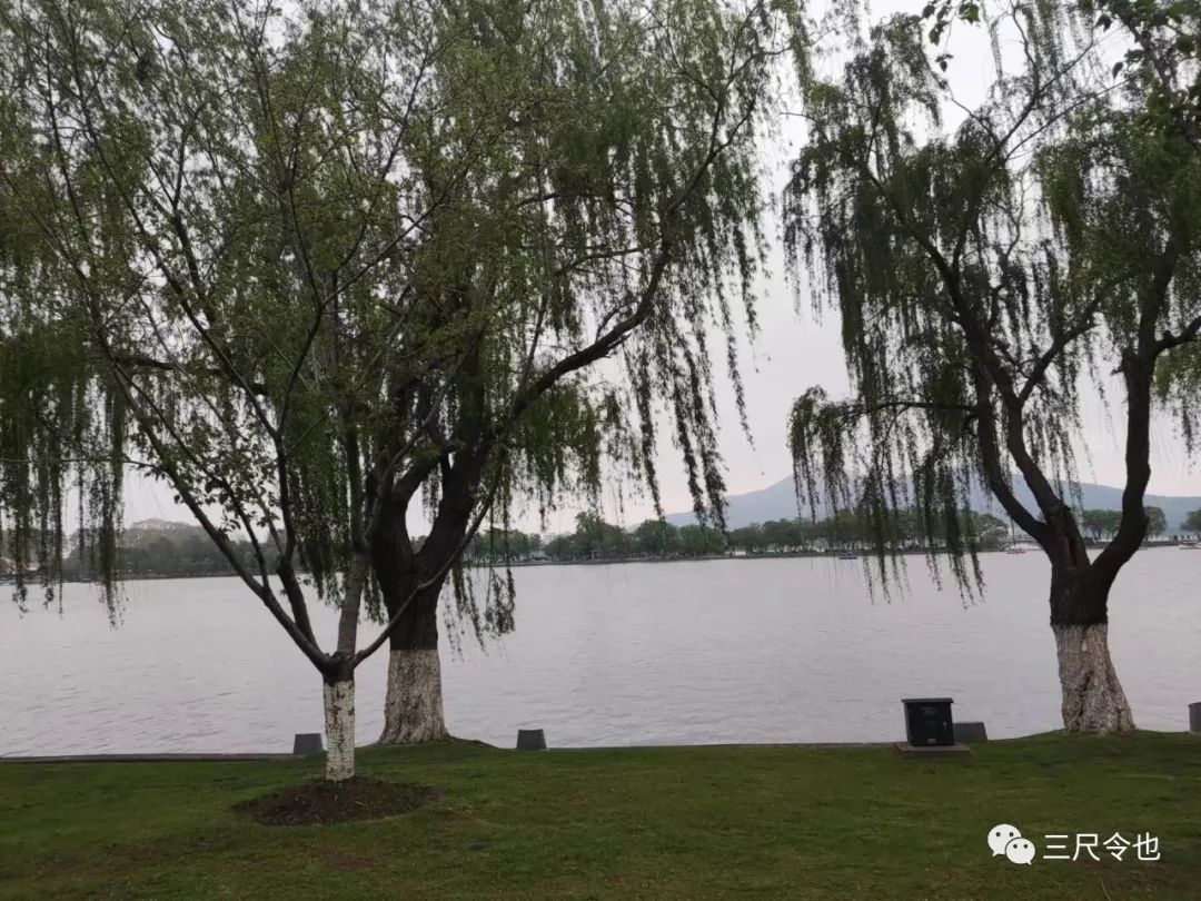 签了商品房预售合同已备案能退吗,签了商品房预售合同后可以退房吗