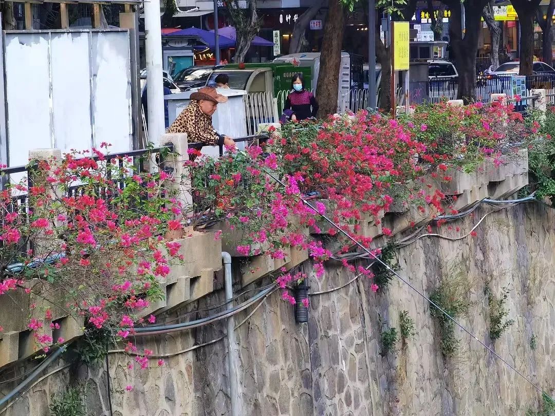 好文案英语,豆瓣上的文案