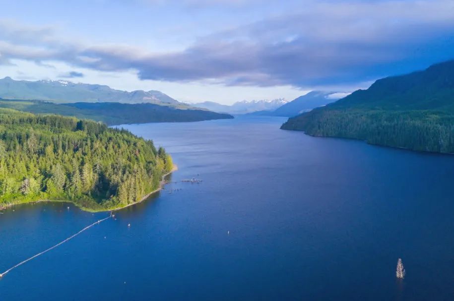 苏格拉底的下午茶|灵魂在宇宙中不会被风吹散
