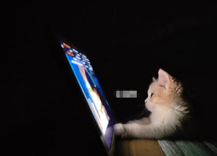 公务员体检前小窍门,公务员体检之前要注意什么