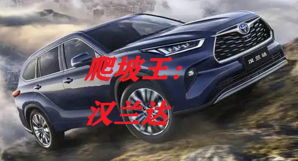 汉兰达挑战成佛坡视频,汉兰达爬水泥路坡