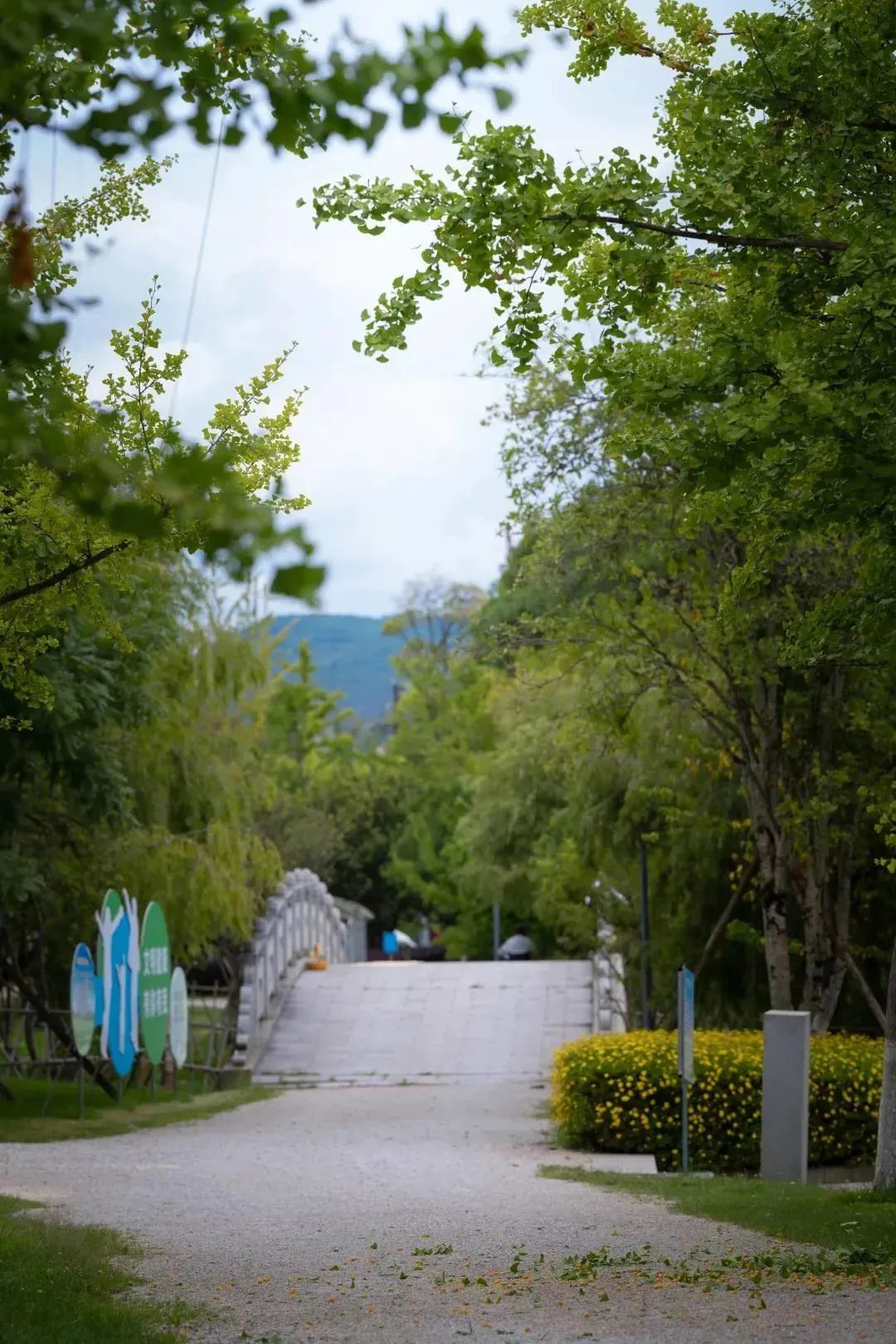 呈贡可以露营的公园,呈贡附近小众的露营地