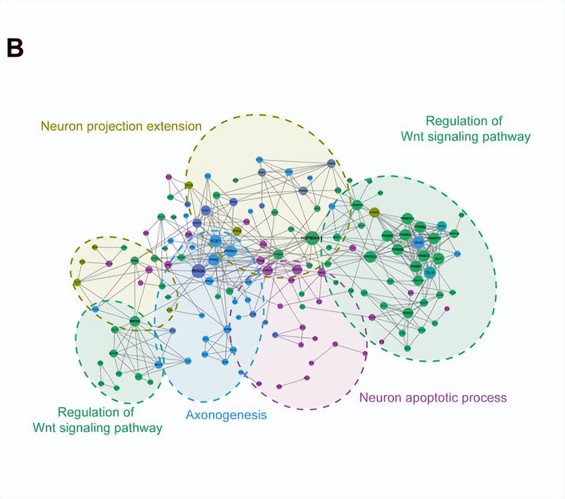 dna甲基化防癌检测的卖点,dna甲基化利器