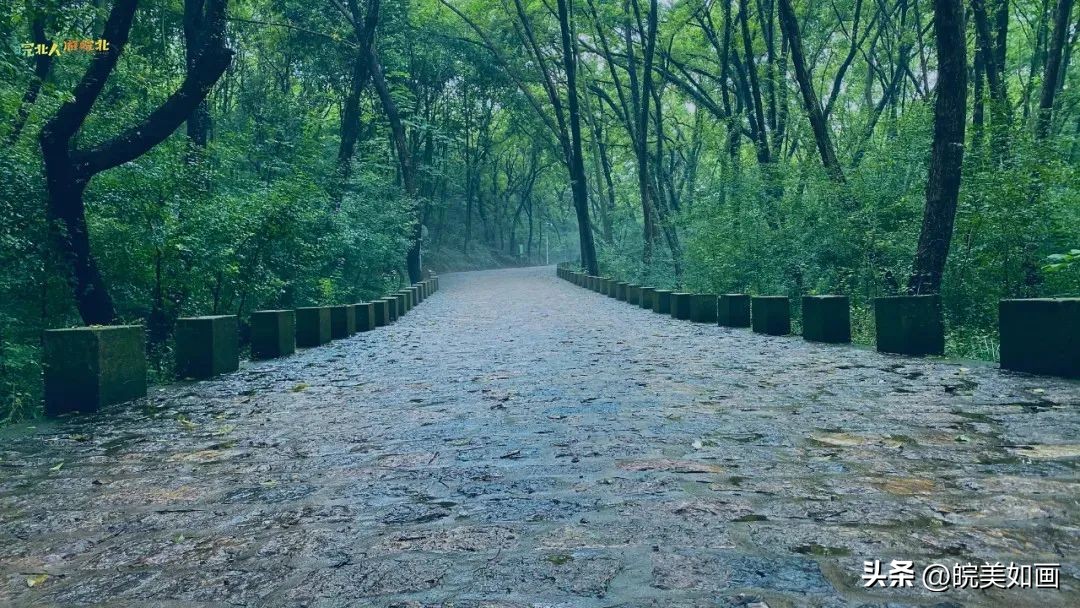 小众目的地冷门避暑景点,皖北地区避暑胜地有哪些