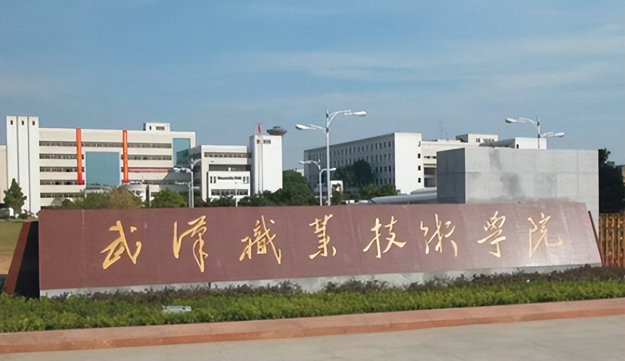 2020高职高专排名武汉武职,湖北省高职高专院校前十名