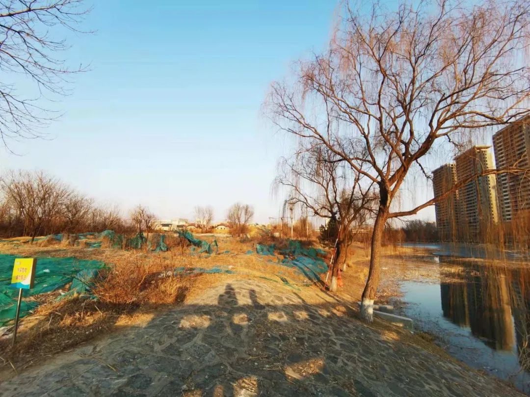 潍坊口碑好的房企,潍坊十佳房企排名