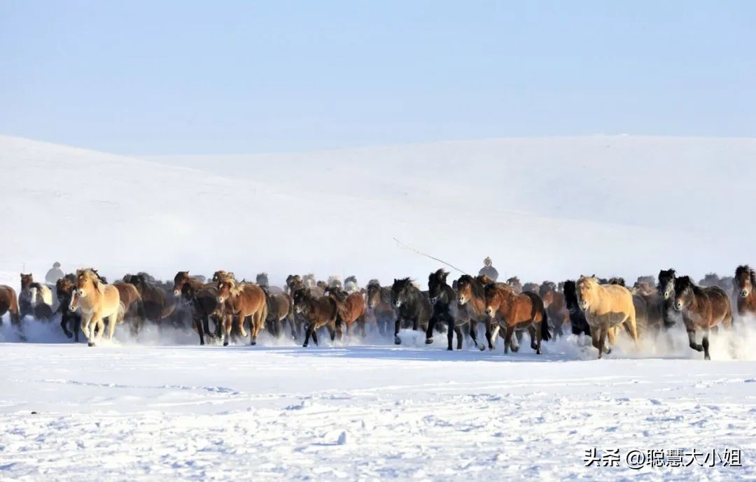 呼伦贝尔号开往雪国的极地列车 (中国高端列车呼伦贝尔号)