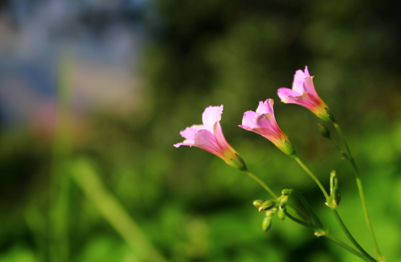 2023年努力赚钱,2023年努力赚钱然后好好照顾自己