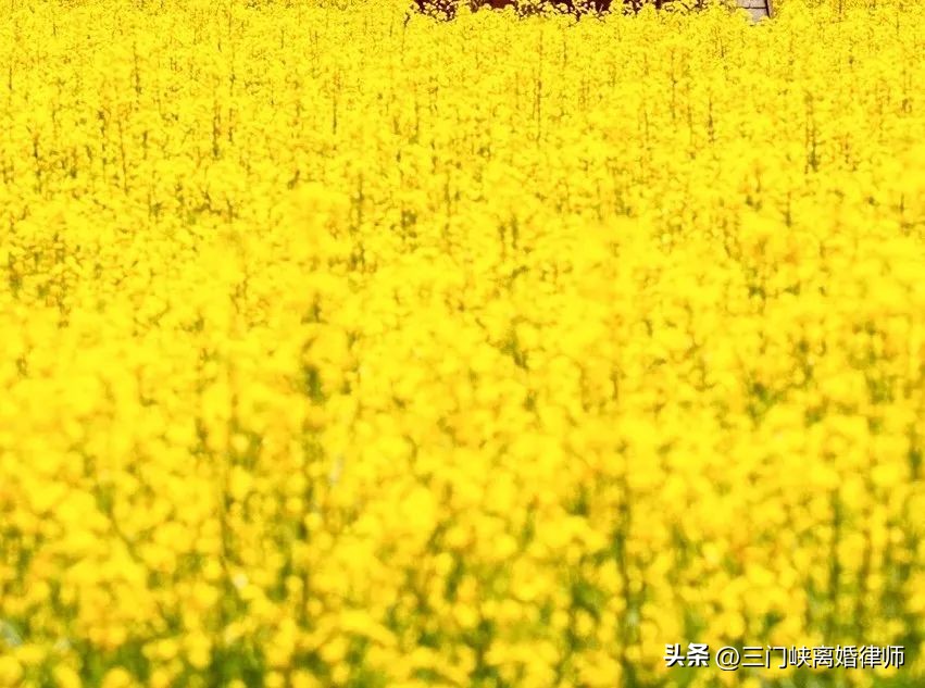 二手车买卖以后的事故责任,二手车出售后发生交通事故怎么办