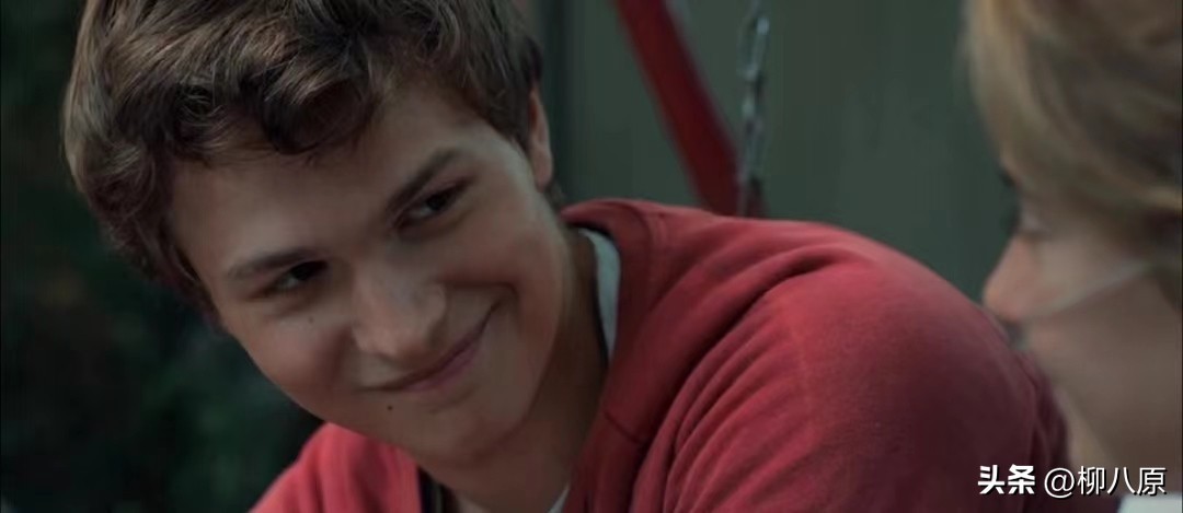 星运里的错美国电影简介,星运里的错电影解析