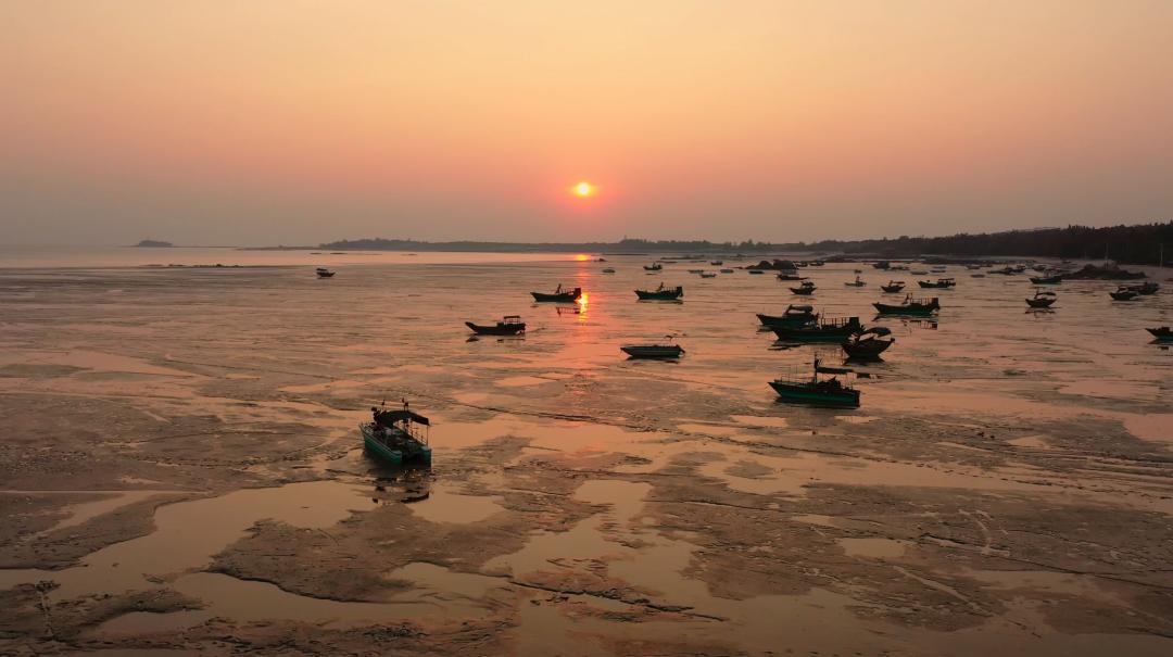 中国人冒死拍的纪录片,一群中国人冒死拍摄