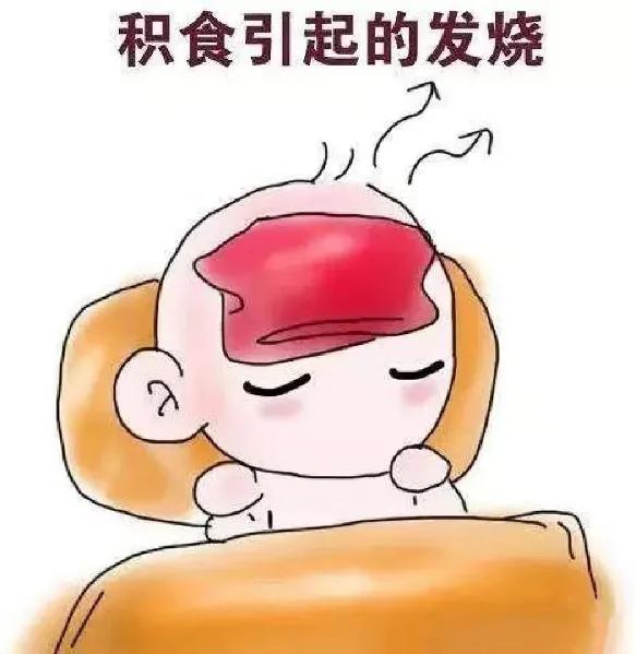 肚子不舒服拉羊屎蛋吃什么药,胃疼大便像羊粪蛋吃什么药
