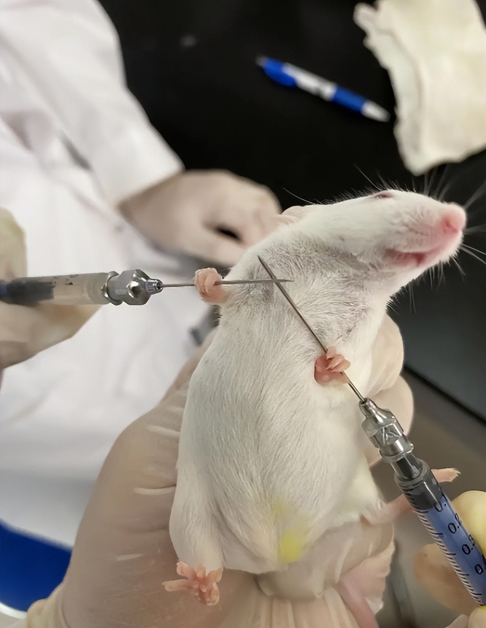 云南高中父亲研制药救儿子,父亲自学制药救治绝症儿子