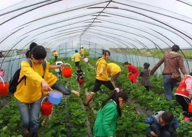 月入过万的项目,月入过万的小生意项目