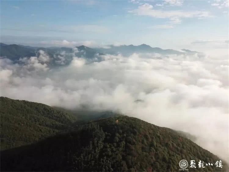 聚龙小镇：离城不离尘的心灵