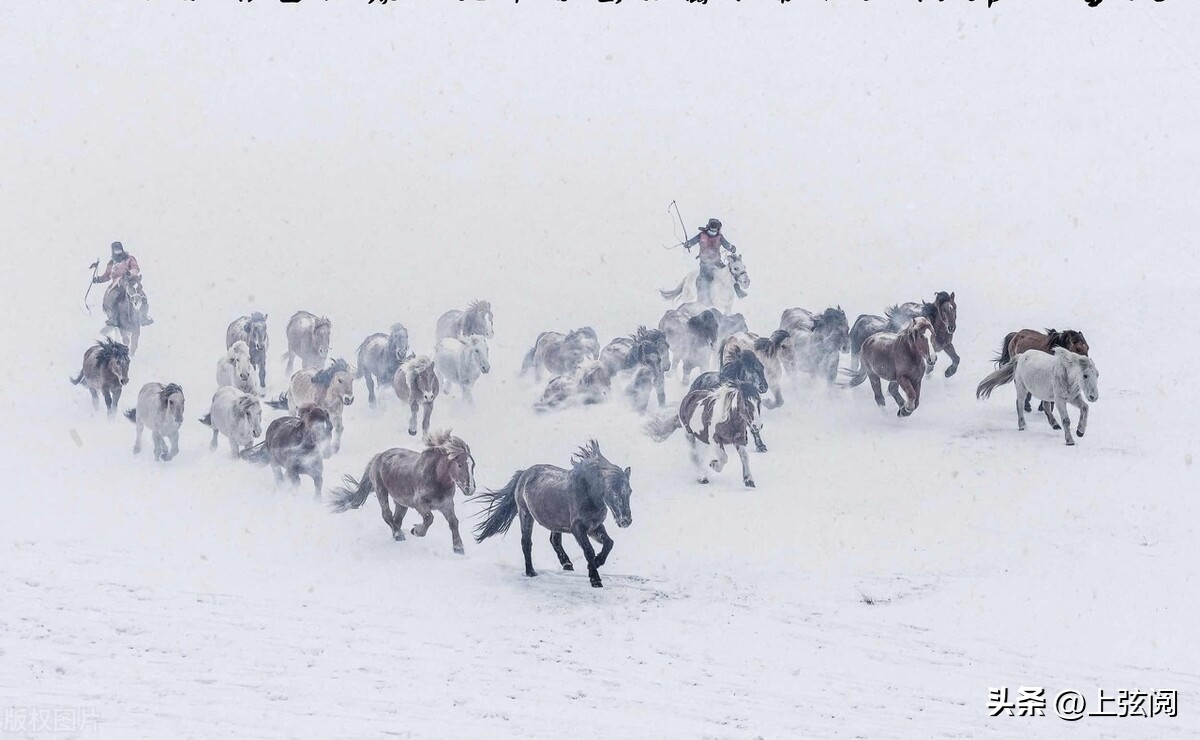 最动人的名著小说开头,开篇高潮的小说
