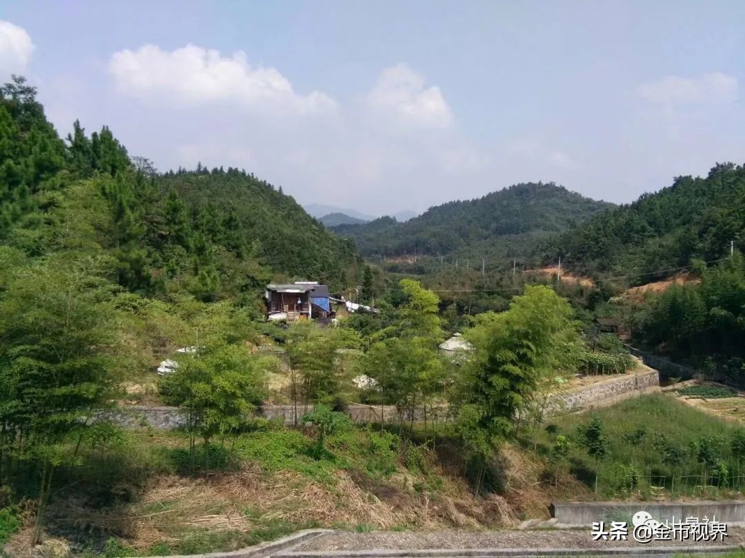 五代吴国钱币,五代十国楚国古钱币