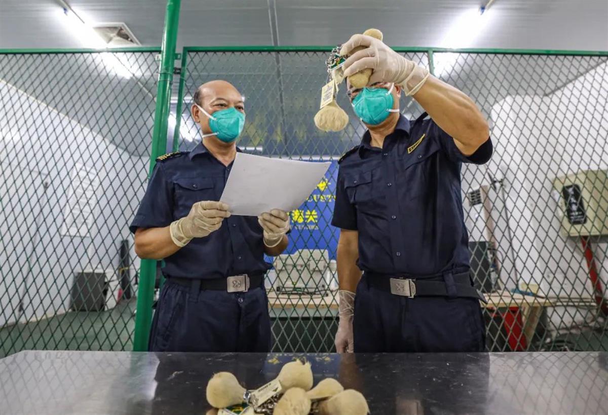 澳大利亚袋鼠皮钥匙扣,终于知道袋鼠袋子里装的是啥