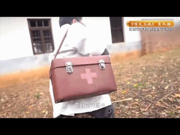 美人鱼是怎么养成的,美人鱼是怎样养的