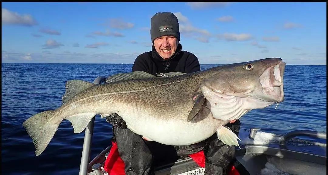 日本群岛附近的世界四大渔场之一,我国四大渔场和四大盐场分布图