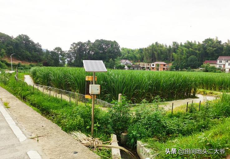 种植业最赚钱的方法,农业种植的赚钱方法有哪些