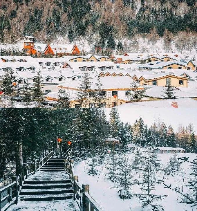 豪华专列游北疆,豪华软卧旅游专列