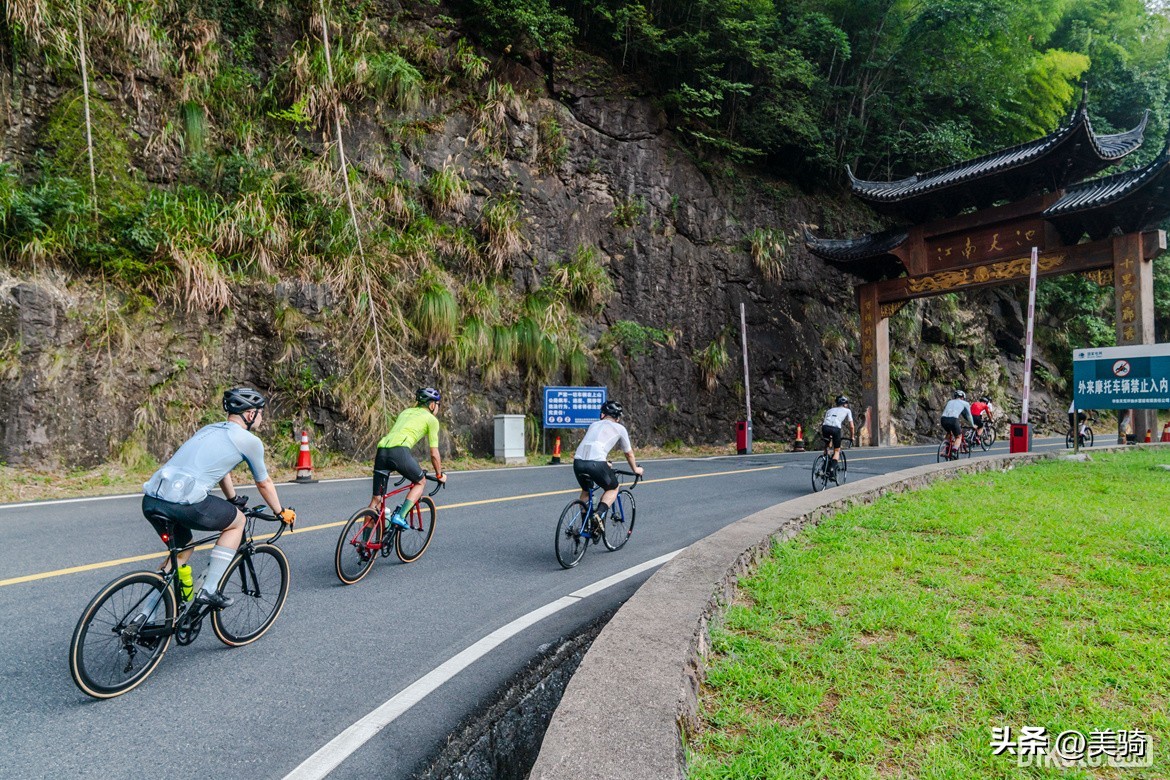 迪卡侬新款公路车发布会,迪卡侬公路车测评