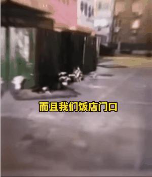 唐山打人事件打成什么样了,唐山打人事件男子被网暴后续