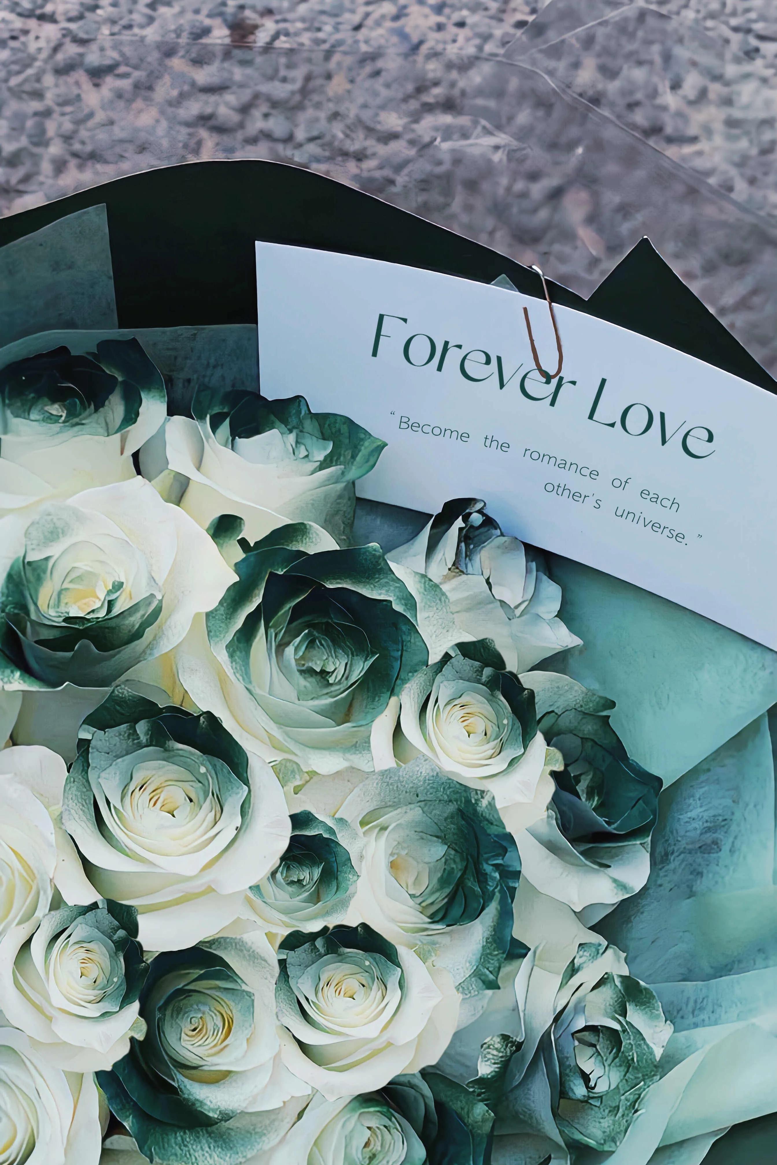 狮子座喜欢一个人的表现形式,狮子座喜欢一个人的表现超准