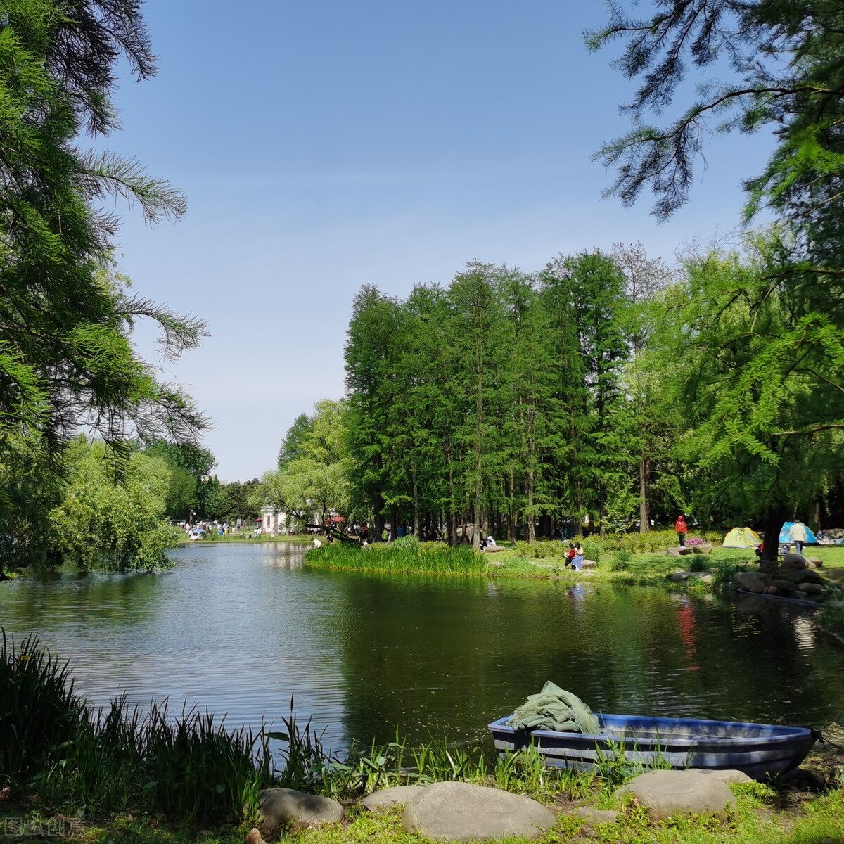 上海市区森林秘境,上海这些景区值得一去