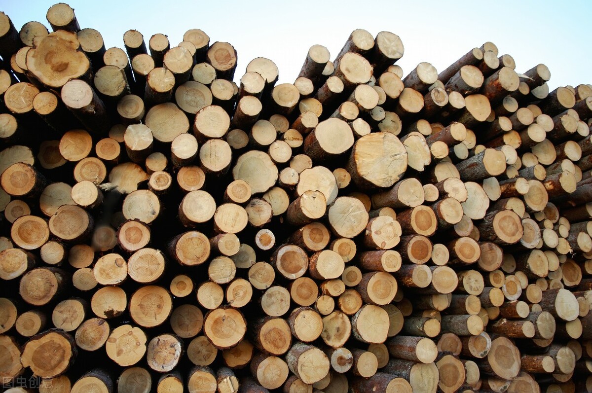 铁桦树斧头真的砍不动吗,铁桦木是最硬的木头吗