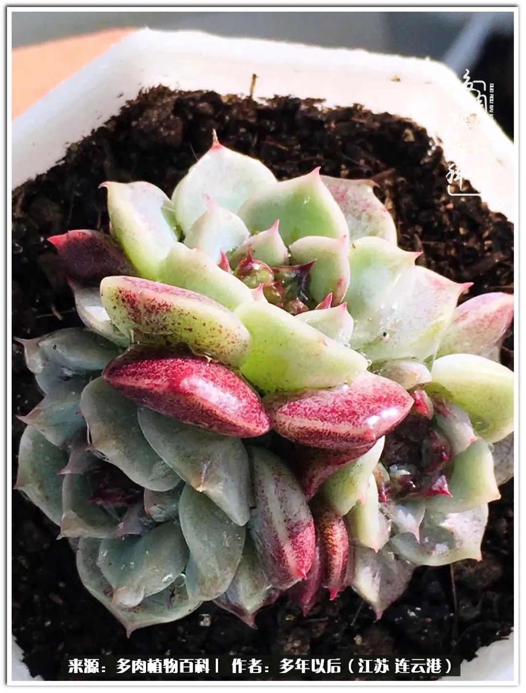 我若不弃，愿你不负我所期