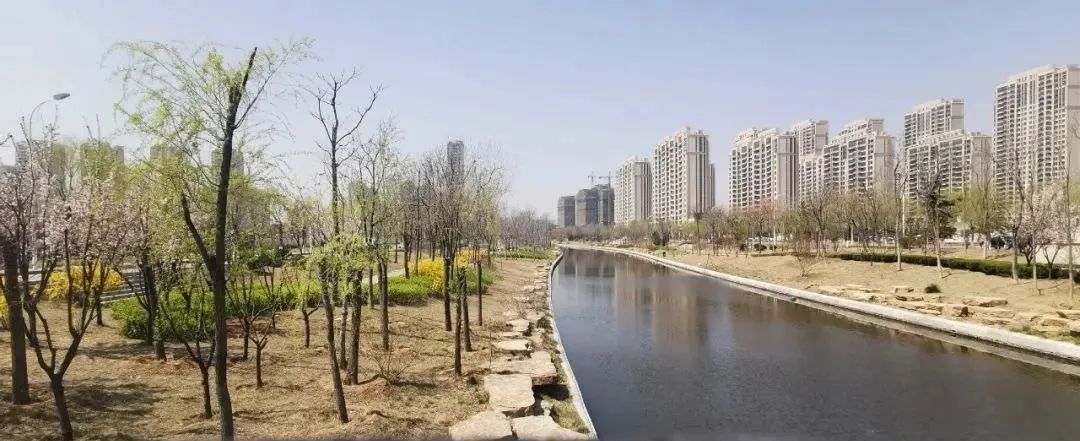 性价比之王怎么样,性价比之王值得购买吗