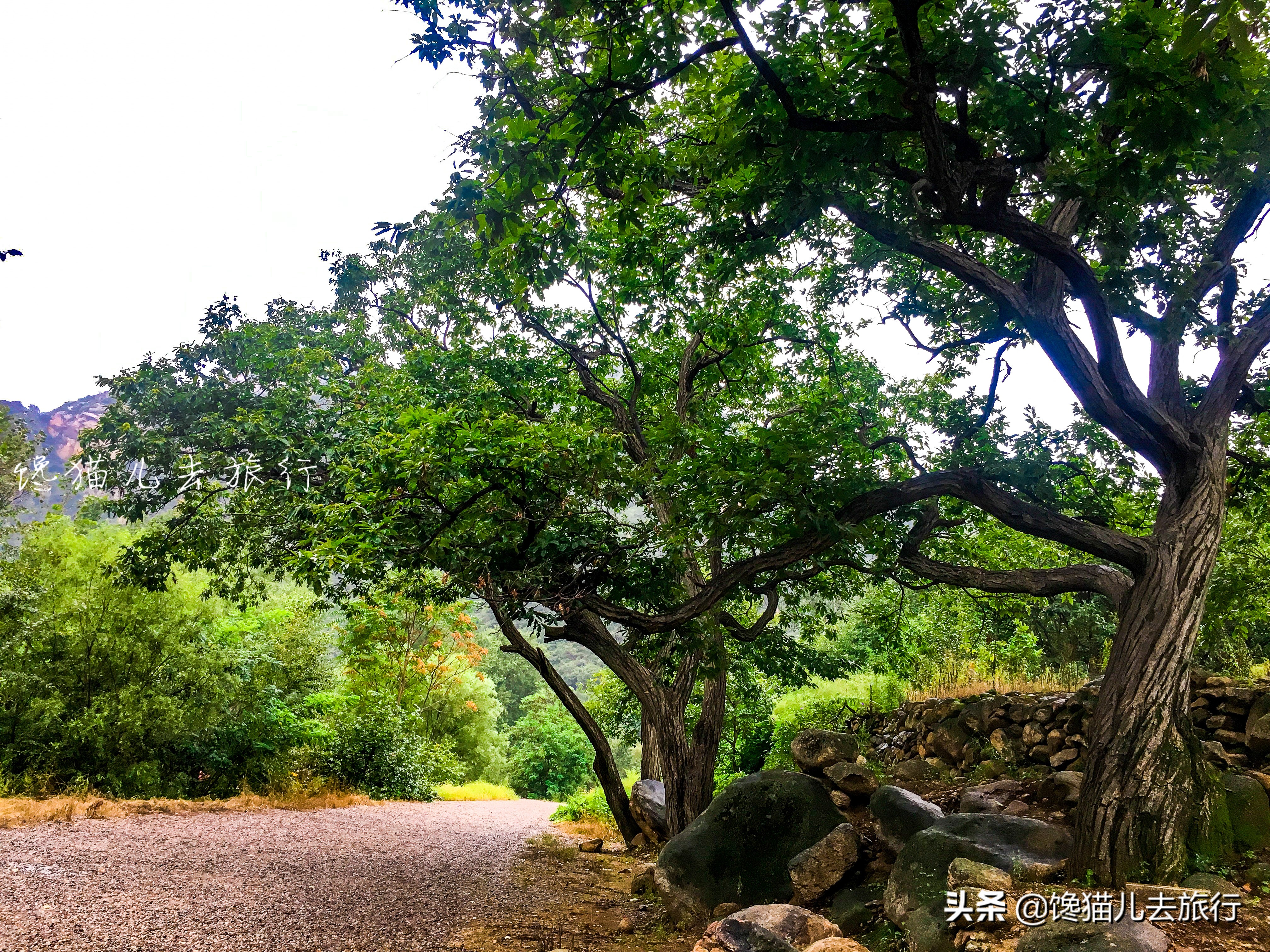 北京郊区一日游或者长城一日游，有什么高质量又省心的玩法吗？