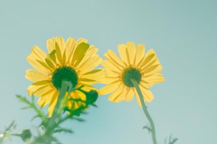 命不好的人身上往往有三个通病,命不好的人有什么面相特征