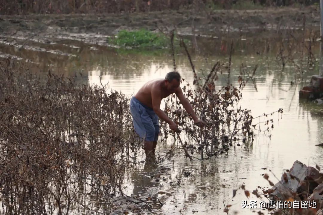 那一夜,发生在隔壁大哥身上的真实经历,让人心惊胆寒
