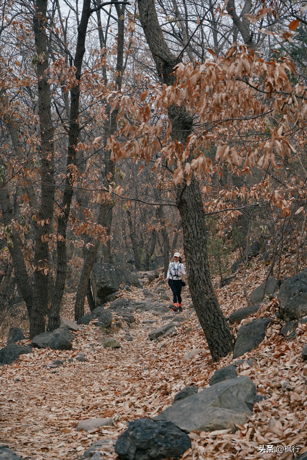 北京大觉寺后山风景,北京大觉寺旅游好去处