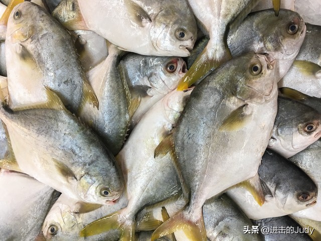 红烧金鲳鱼怎样做最好吃又简单,金鲳鱼怎么做好吃红烧金鲳鱼