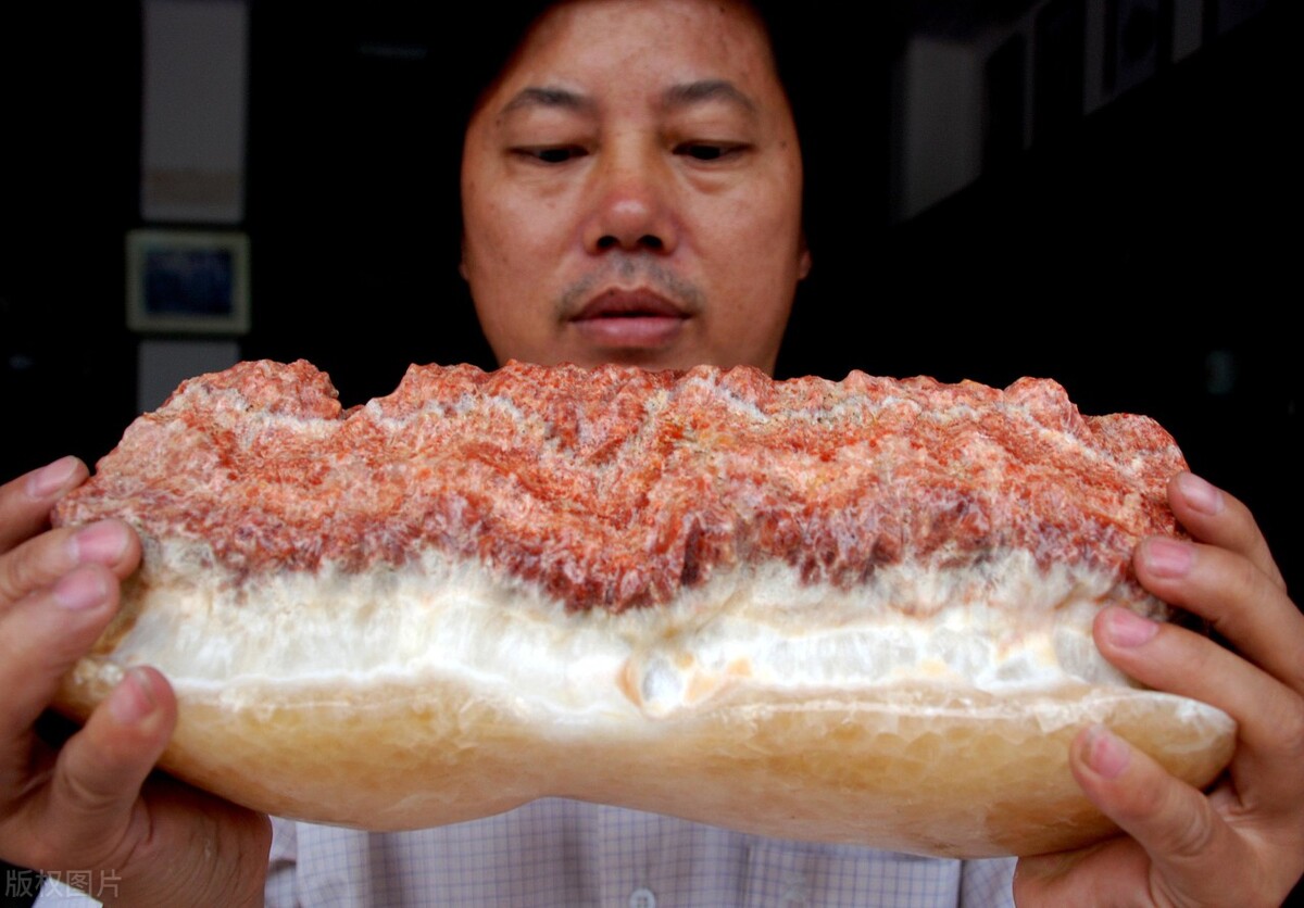 为什么不养黑猪肉,黑猪肉有多贵为什么不让养