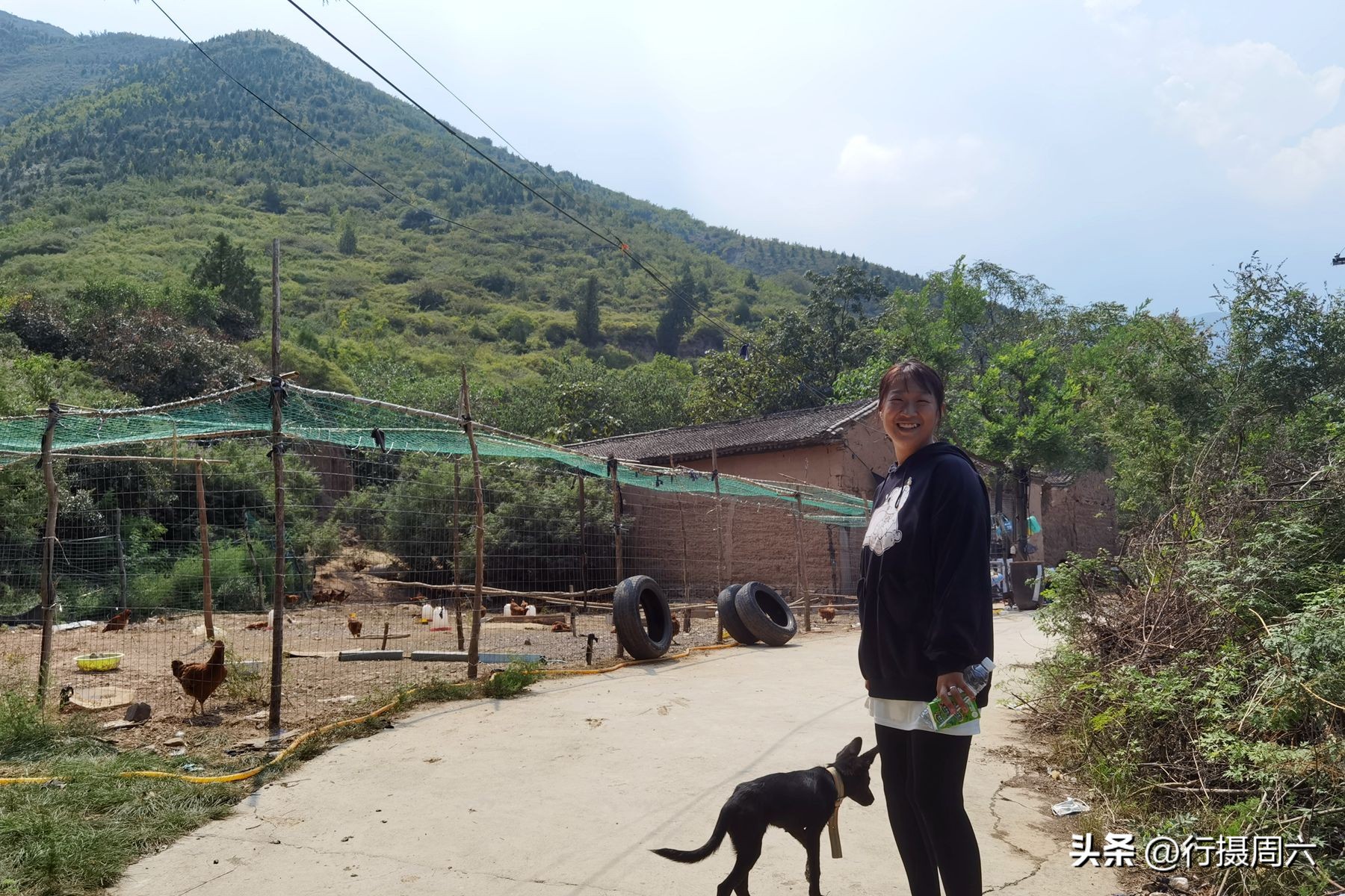 农村养跑山鸡前景,养殖1000只跑山鸡的成本和利润