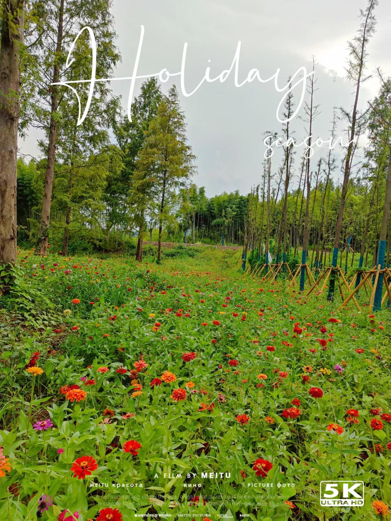西塞山前白鹭飞图文,西塞山前白鹭飞风景