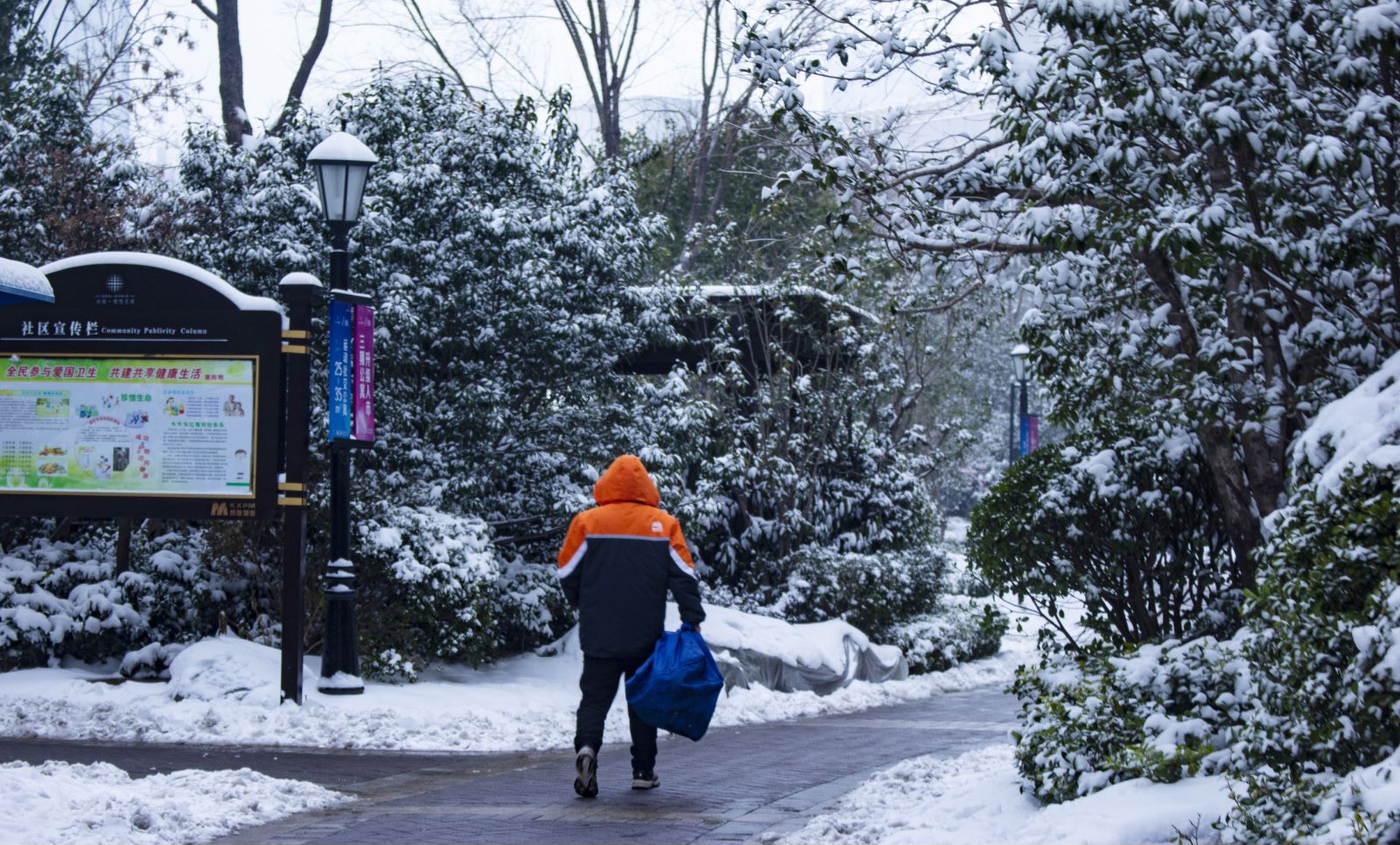 申通今年怎么了,我在顺丰的这几年