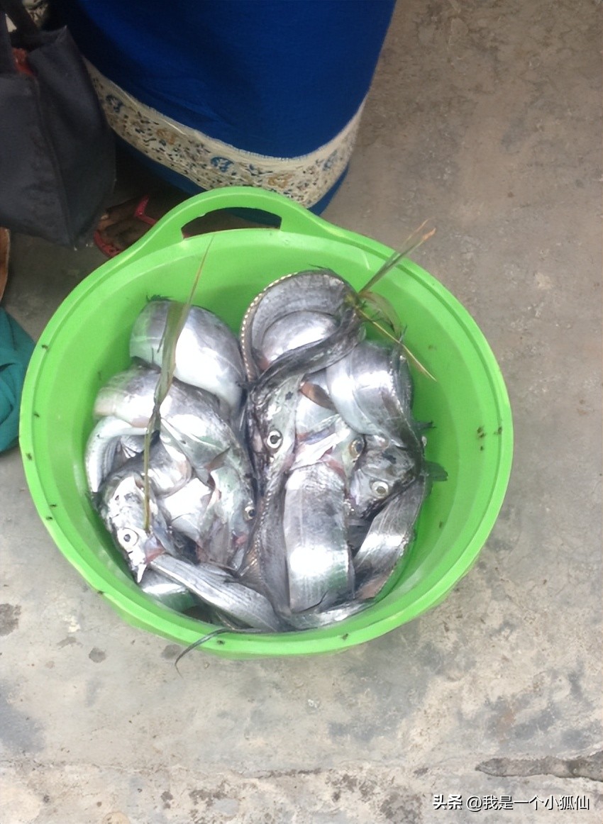 我在非洲安哥拉遇到黑人女人，她说丈夫去世了