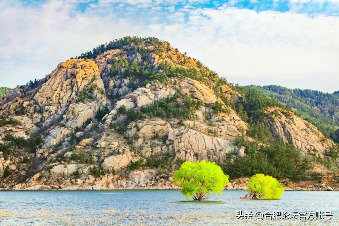 合肥市11月特价机票,特价机票来啦