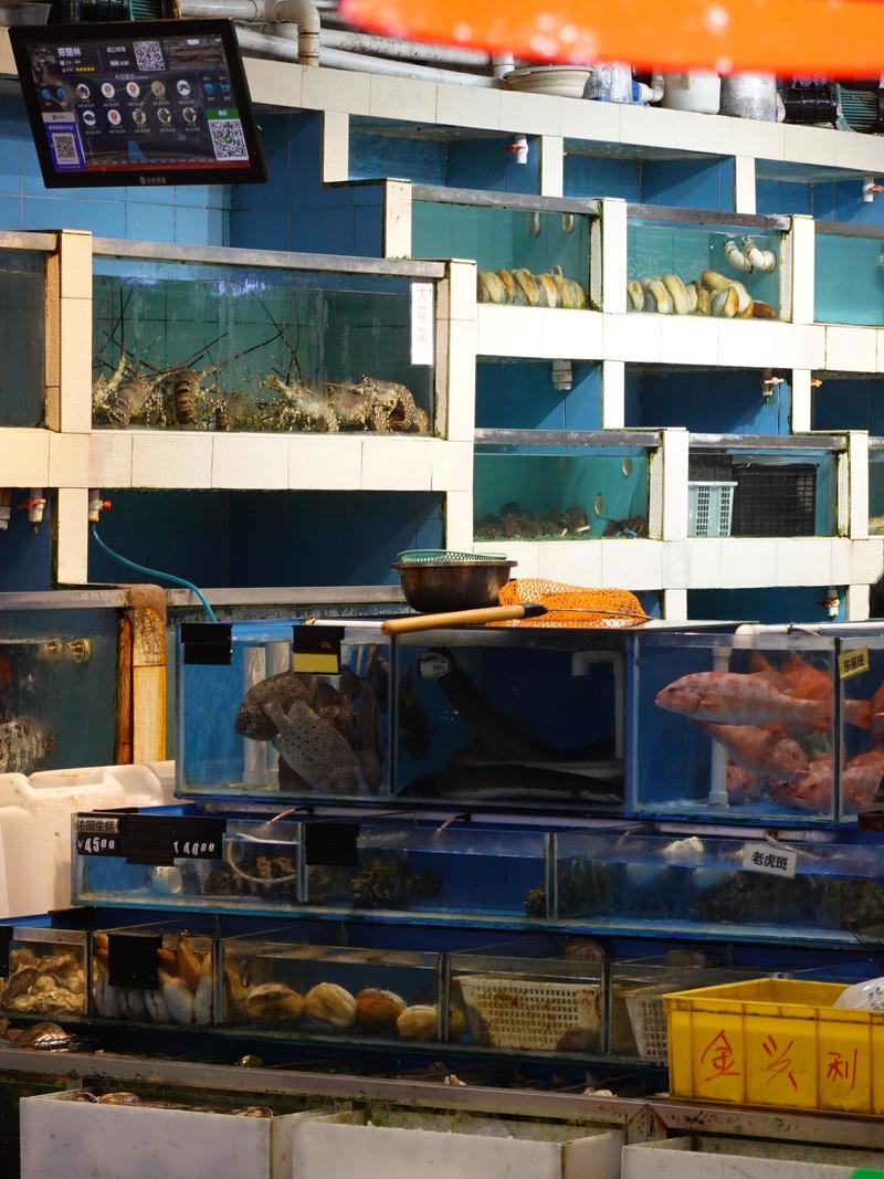 深圳市蛇口攻略,深圳海岛蛇口