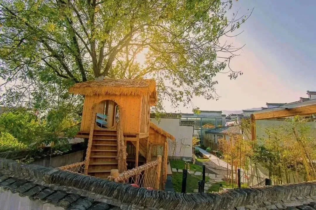 古徽州徽文化旅游攻略,徽州自由行旅游攻略最新